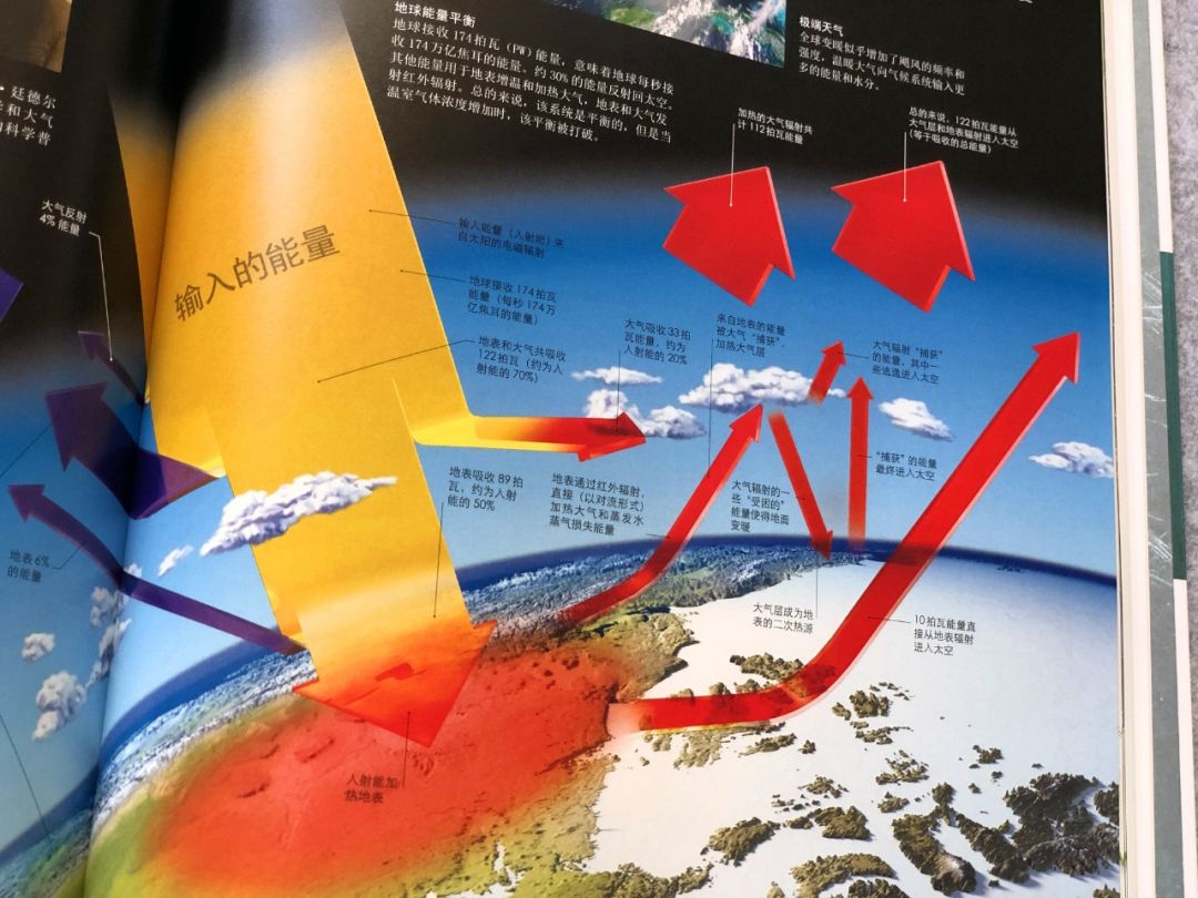 生活百科全书图片：视觉化知识让学习更轻松高效的实用指南