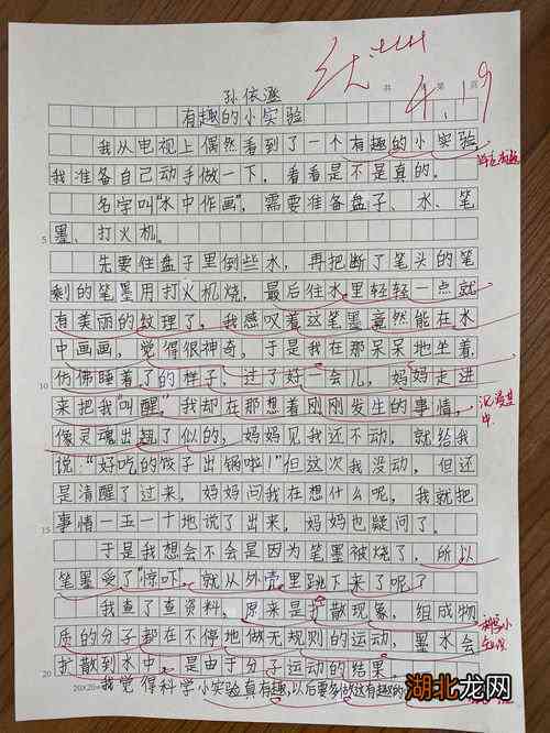 生活百科广播稿300字左右写作指南：轻松掌握实用技巧与范文
